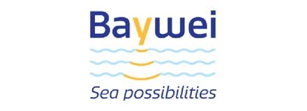 Baywei logosu