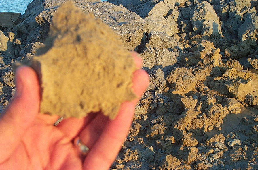 Jeolojik inceleme için alınmış sediment örneği