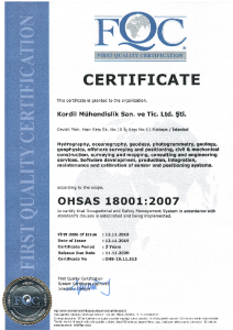 OHSAS 18001 2007 EN.png